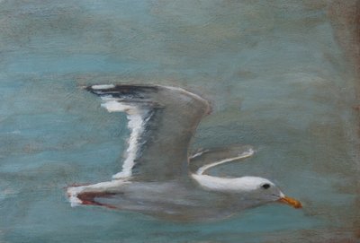 Soaring Seagull by Claire Lerner
