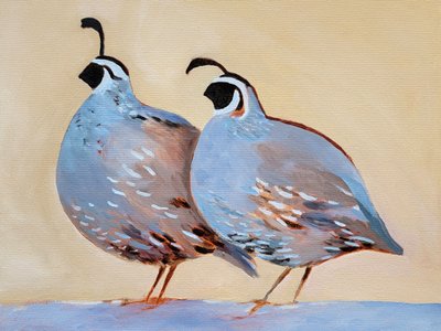 Charming Quail Pair by Claire Whitehead