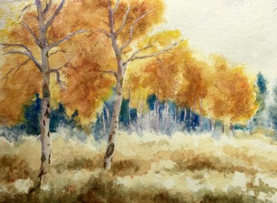 Autumn Aspens in the Tetons, 2011 by Clive Wilson
