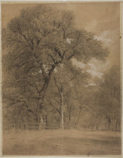 Edge of a Forest by Constant Troyon