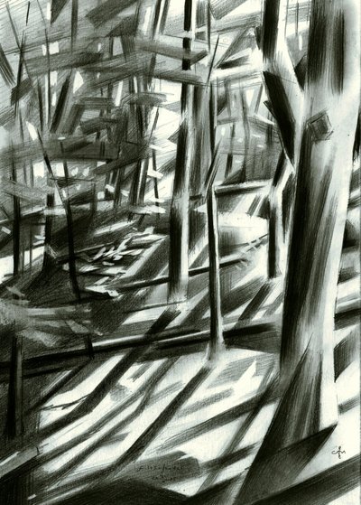 Abstract Forest Shadows by Corné Akkers