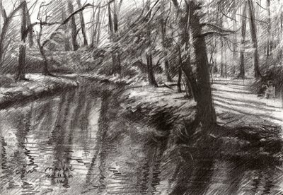 Forest Stream Reflections by Corné Akkers