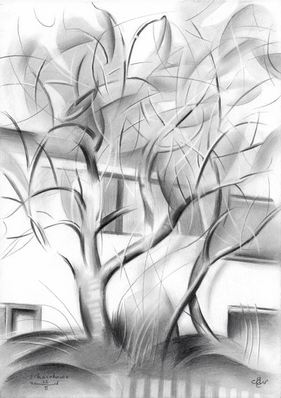 Modern Abstract Trees by Corné Akkers
