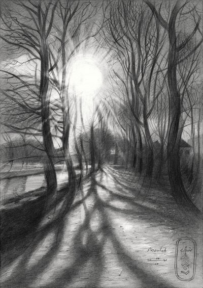 Path of Winter Light by Corné Akkers