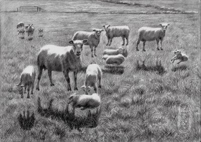 Peaceful Sheep Pasture Drawing by Corné Akkers