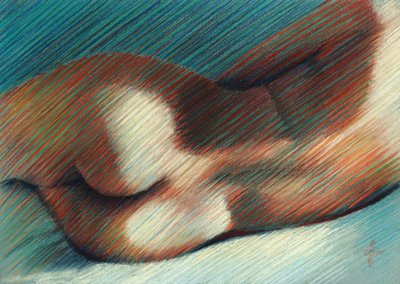 Sensual Body Curves by Corné Akkers