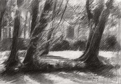 Tranquil Woodland Path by Corné Akkers