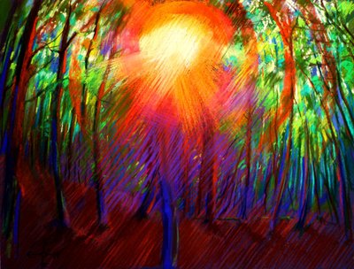 Vibrant Forest Light by Corné Akkers