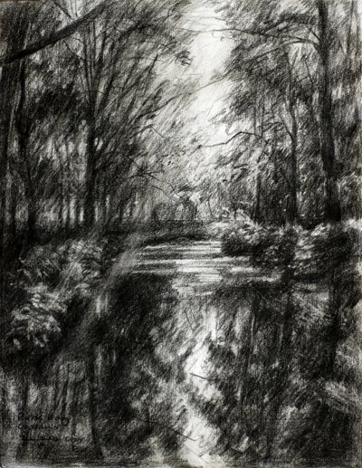Winding Forest Path by Corné Akkers
