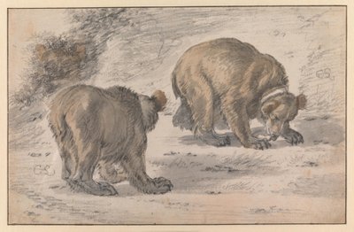 A Bear in Various Poses by Cornelis Saftleven