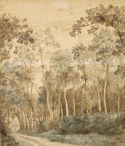 Wooded Landscape by Hendrick Cornelisz. Vroom