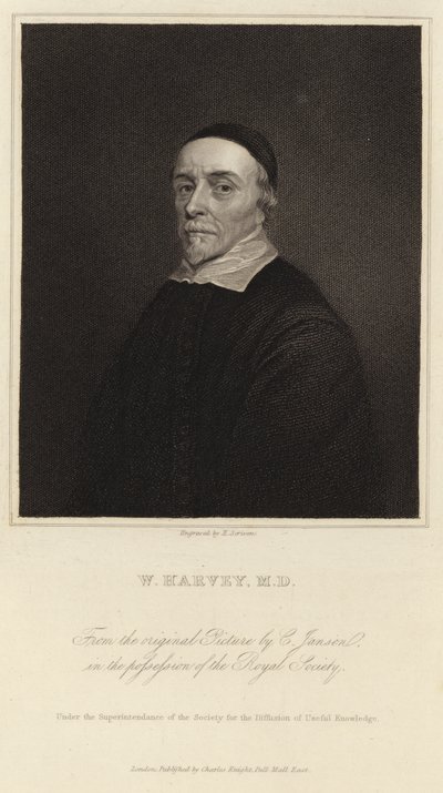 William Harvey by Cornelius Janssen van Ceulen