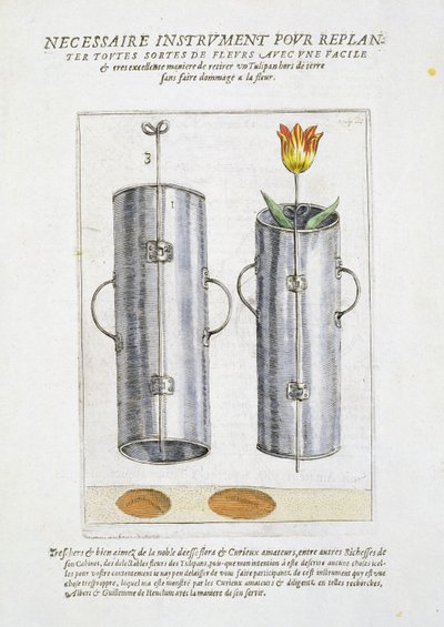 Device for re-planting flowers, from 
