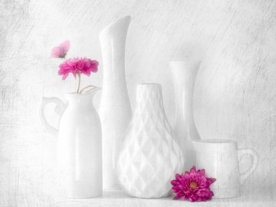 Pink Flowers White Vases by Cristiano Giani