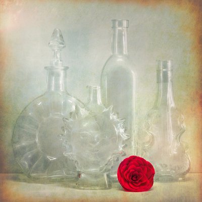 Vintage Bottles Red Flower by Cristiano Giani