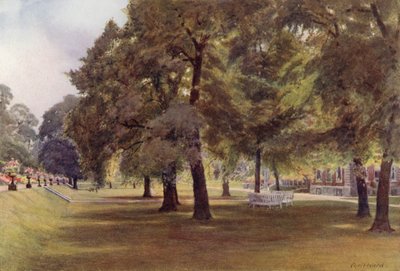 Trees on the Lawn at Marlborough House by Cyril Ward