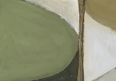 Calm Organic Abstract by Dan Hobday