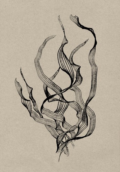 Delicate by Dan Hobday