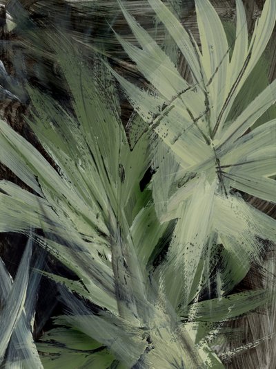 Forest by Dan Hobday