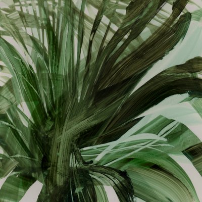Palms by Dan Hobday