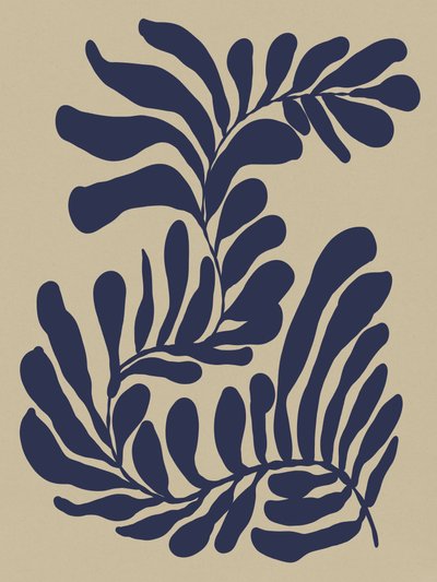 Seaweed by Dan Hobday