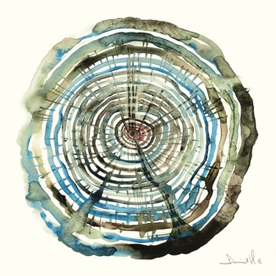 Water Oak by Dan Hobday
