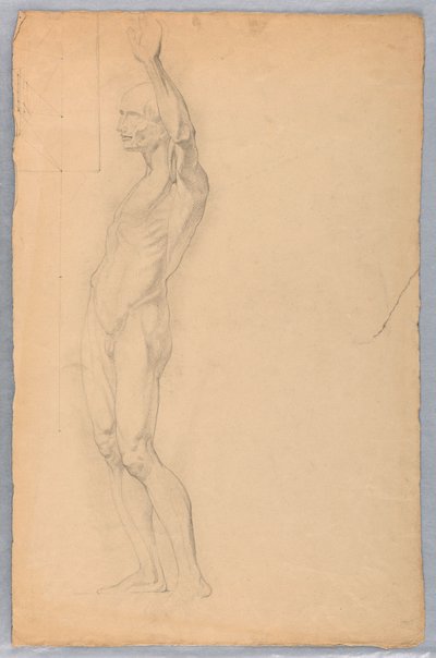 Anatomical Study of Male, ca. 1850 by Daniel Huntington