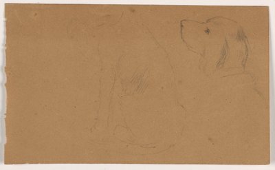 Dash (a Setter), Head and Body, ca. 1862 by Daniel Huntington