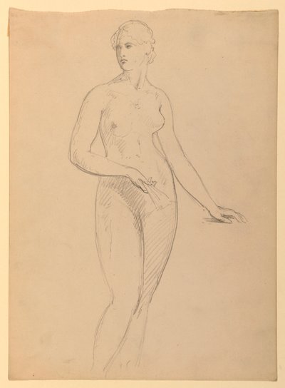 Mrs. Henry Schieffelin, S, 1881 by Daniel Huntington