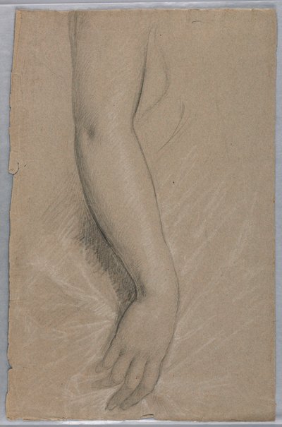 Mrs. Rutherford B Hayes, 1880 by Daniel Huntington