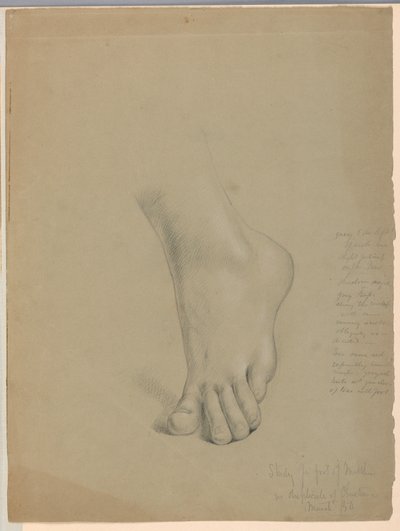 Study for Duplicate of 
