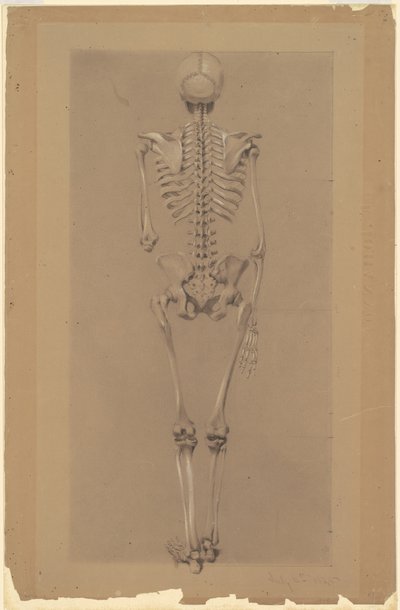 Rear View of a Skeleton by Daniel Huntington