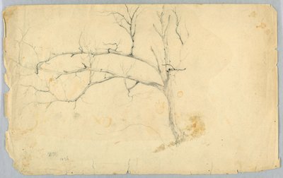 Study of a Leafless Tree by Daniel Huntington