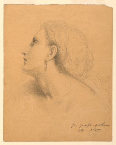 Study of a Woman