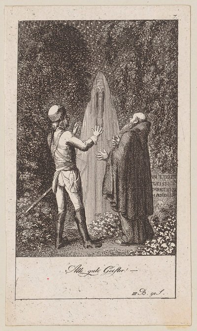 Plate 7 for Blumauer