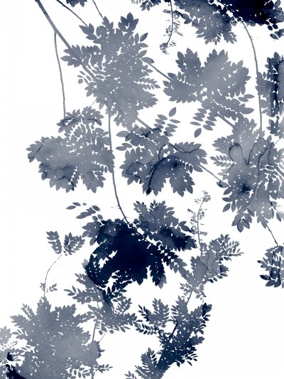 Deep Ecology 1 Bluegrey by Danushka Abeygoda