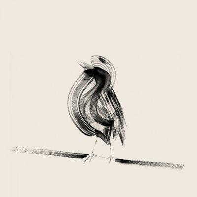 Elegant Ink Bird by Danushka Abeygoda