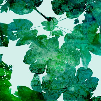 Layered Green Leaves by Danushka Abeygoda