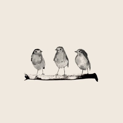 Three Perched Birds by Danushka Abeygoda