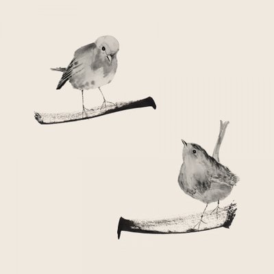 Two Gentle Birds by Danushka Abeygoda