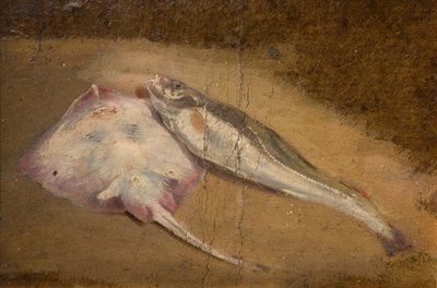 Study of Fish - Skate and Cod, 1842 by David Cox the elder