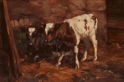 Two Calves by a Water Butt by David Gauld