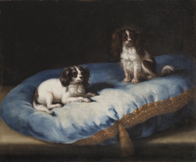 Two Small Dogs by David Klöcker Ehrenstrahl