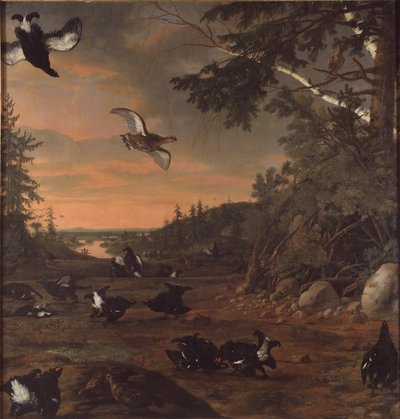 Black Cocks at Ground by David Klöcker Ehrenstrahl