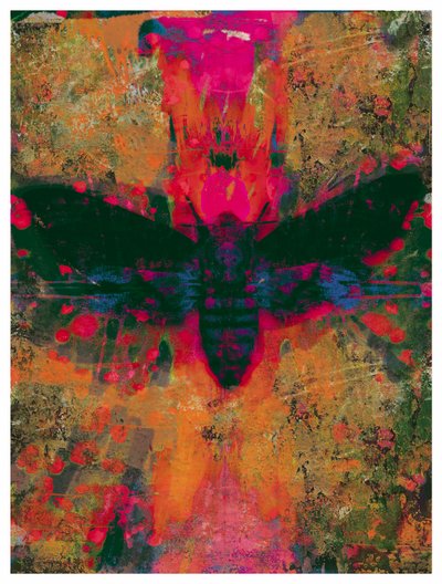 Death Moth Collage by David McConochie