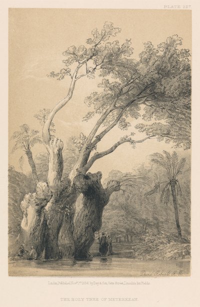 The Holy Tree of Metereeah by David Roberts