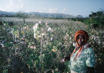 Woman Stands in Field of Sea Island, Grenadines by Dean Conger
