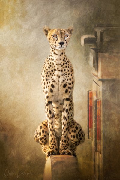 Regal Cheetah Portrait by Debbie Lefever