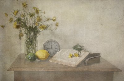 Timeless Still Life by Deborah Gugeri