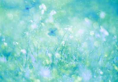 Aqua Butterfly Dream by Delphine Devos